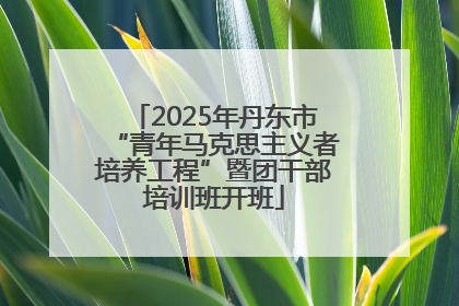 2025年丹东市“青年马克思主义者培养工程”暨团干部培训班开班