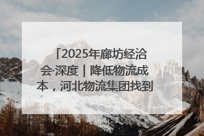 2025年廊坊经洽会·深度｜降低物流成本，河北物流集团找到一把“金钥匙”