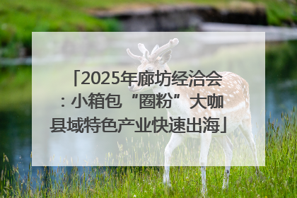 2025年廊坊经洽会：小箱包“圈粉”大咖 县域特色产业快速出海