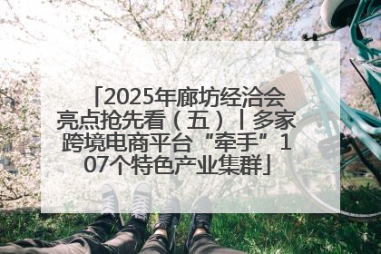 2025年廊坊经洽会亮点抢先看（五）丨多家跨境电商平台“牵手”107个特色产业集群