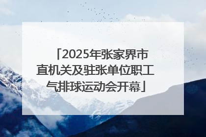 2025年张家界市直机关及驻张单位职工气排球运动会开幕