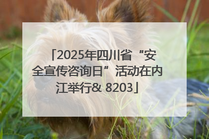 2025年四川省“安全宣传咨询日”活动在内江举行& 8203