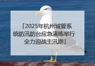 2025年杭州城管系统防汛防台应急演练举行 全力迎战主汛期