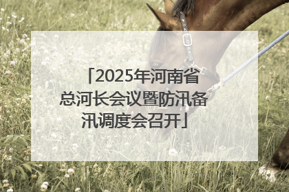 2025年河南省总河长会议暨防汛备汛调度会召开