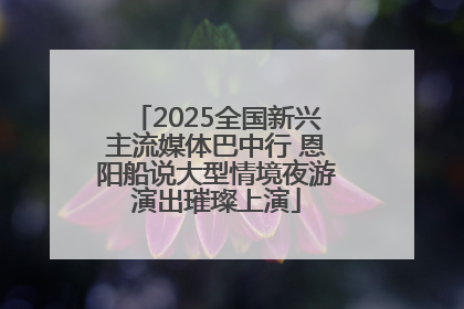 2025全国新兴主流媒体巴中行 恩阳船说大型情境夜游演出璀璨上演