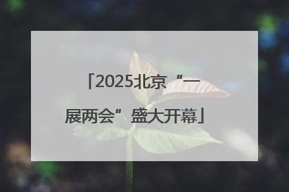 2025北京“一展两会”盛大开幕