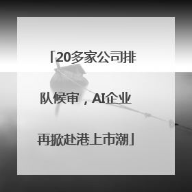 20多家公司排队候审，AI企业再掀赴港上市潮