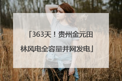 363天！贵州金元田林风电全容量并网发电