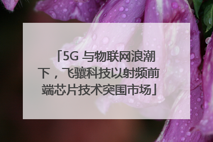 5G 与物联网浪潮下，飞骧科技以射频前端芯片技术突围市场