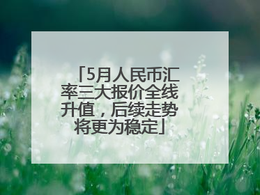 5月人民币汇率三大报价全线升值，后续走势将更为稳定