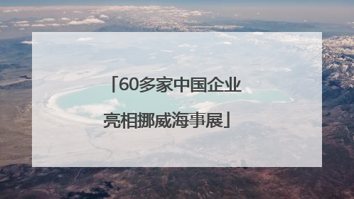 60多家中国企业亮相挪威海事展
