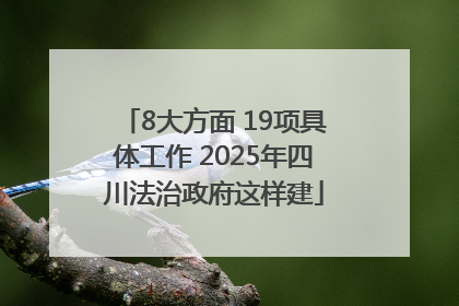 8大方面 19项具体工作 2025年四川法治政府这样建