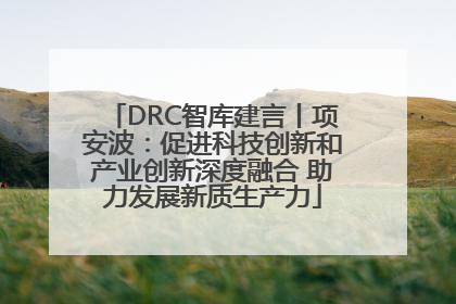 DRC智库建言丨项安波：促进科技创新和产业创新深度融合 助力发展新质生产力