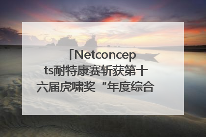 Netconcepts耐特康赛斩获第十六届虎啸奖“年度综合服务商”大奖