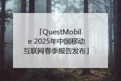 QuestMobile 2025年中国移动互联网春季报告发布