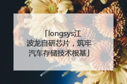 longsys江波龙自研芯片，筑牢汽车存储技术根基